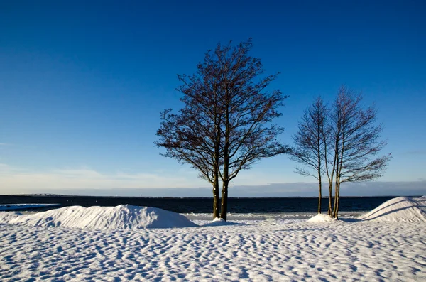 Vista invernale — Foto Stock