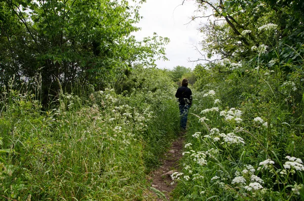 Groene wandelpad — Stockfoto