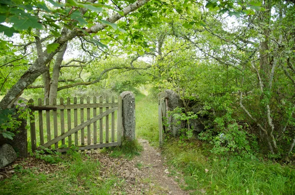 Oude houten poort — Stockfoto