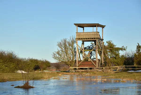 Torre per birdwatching — Foto Stock