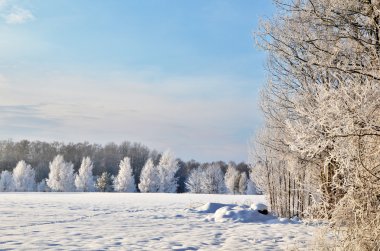 hoarfrost görünüm