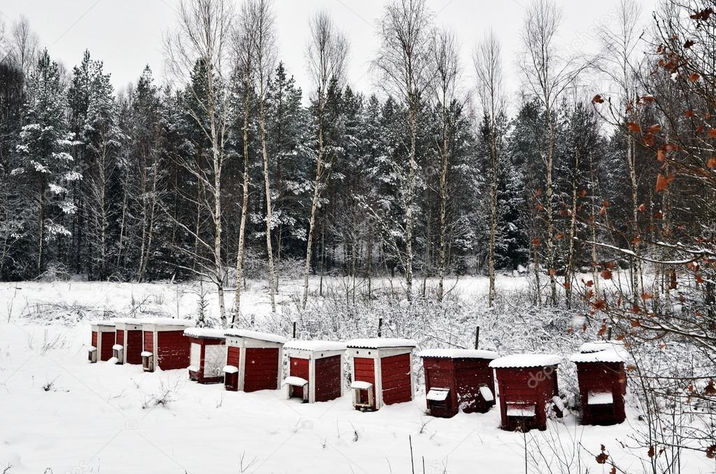 Red bee hives