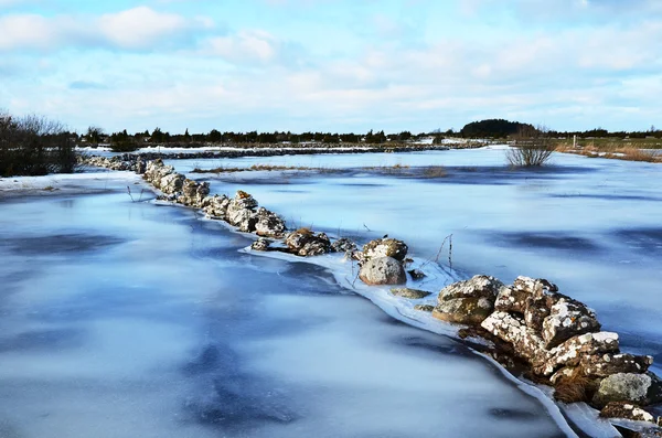 Inondazione coperta di ghiaccio — Foto Stock