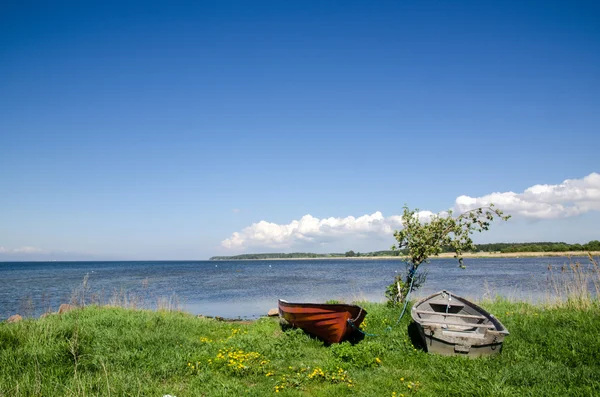 Rowing boats — Stock Photo, Image