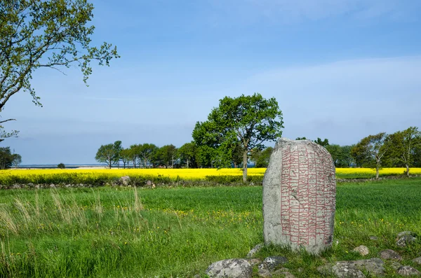 Stein der Wikingerzeit — Stockfoto