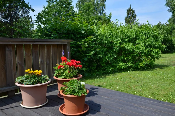 Blomkrukor i trädgården — Stockfoto