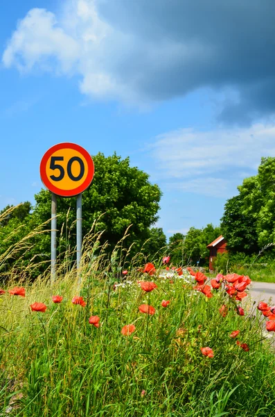 Señal de tráfico en las flores de verano — Foto de Stock