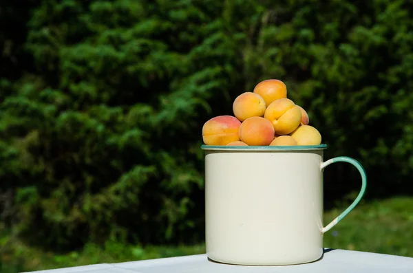 Albaricoques en una taza —  Fotos de Stock