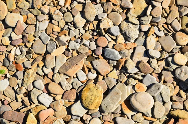 Pebbles bakgrund — Stockfoto