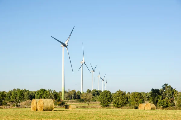 Windmills farm — Stock Photo, Image