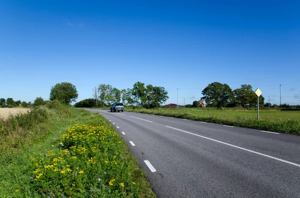 Bloeiende langs de weg — Stockfoto