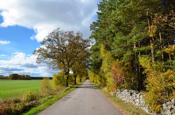 İsveç country road — Stok fotoğraf