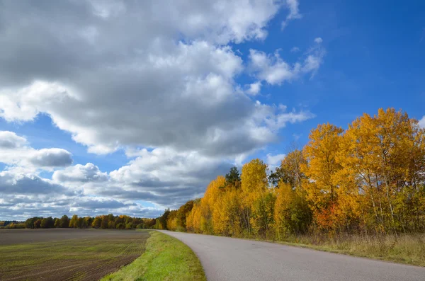 Aspenne lungo la strada in autunno — Foto Stock