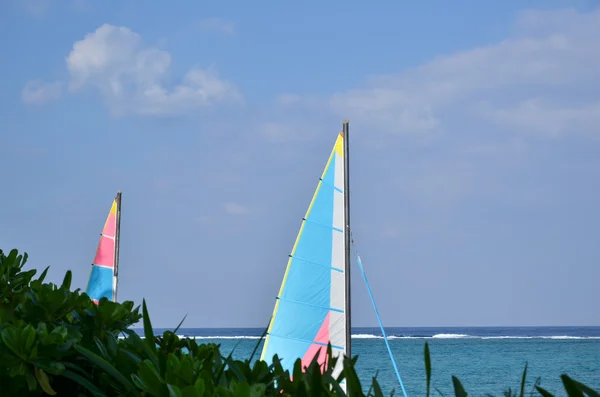 Navega en la costa tropical — Foto de Stock