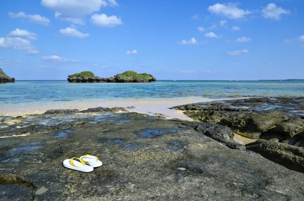 Bellezza tropicale — Foto Stock