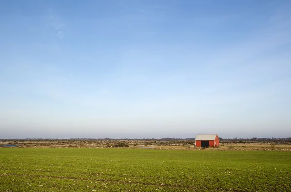 Small red barn at a great plain area — Stock Photo, Image