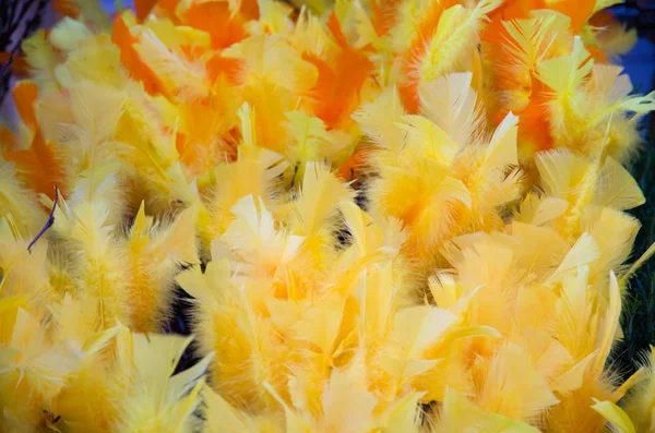 Yellow easter feathers — Stock Photo, Image