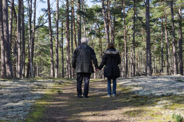 Ormanın yürüyüş yaşlılar