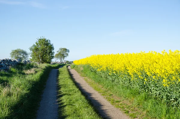 Ländliche Strecken — Stockfoto