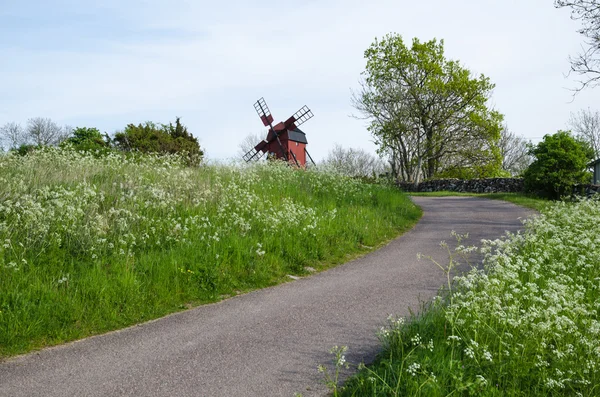Landstraße umgeben von Kuhpetersilie mit einer alten Windmühle ahea — Stockfoto