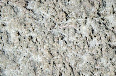 Arka plan gri kireç taşı yüzey