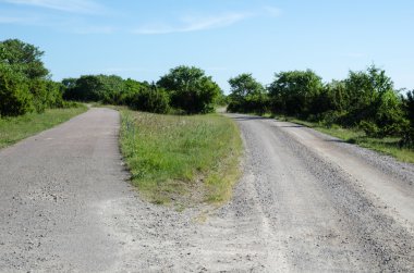 İki farklı ülke yollar doğru yolu seçmek