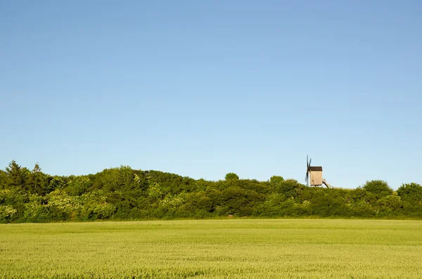 Old wooden windmill by a green wheat corn field — Stock Photo, Image