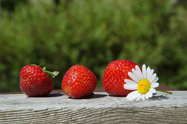 Fresas frescas con fondo verde — Foto de Stock