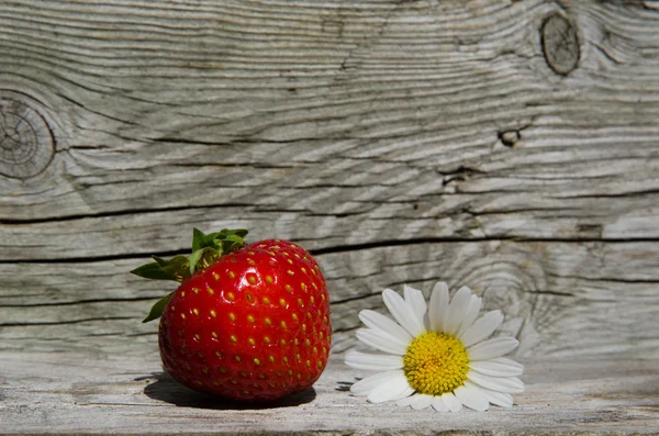 Sommer symboler - jordbær og daisy blomst - Stock-foto