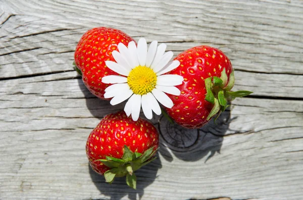 Sommerobjekte - Gänseblümchen und Erdbeeren — Stockfoto