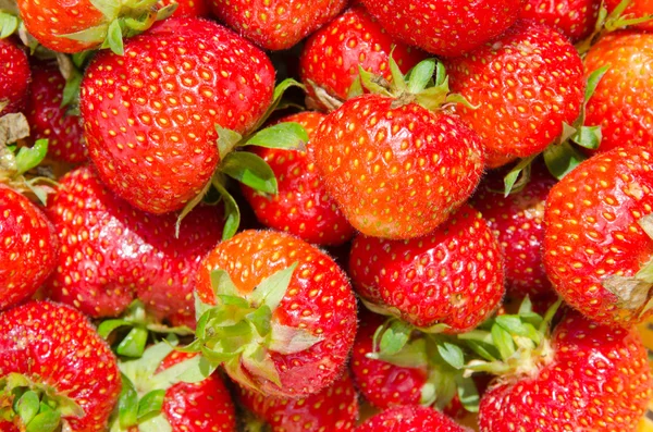 Hintergrund der Erdbeeren — Stockfoto