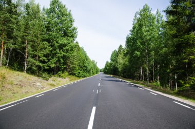 Yeni asfalt ve çizgiler ormanın içinde bir yol