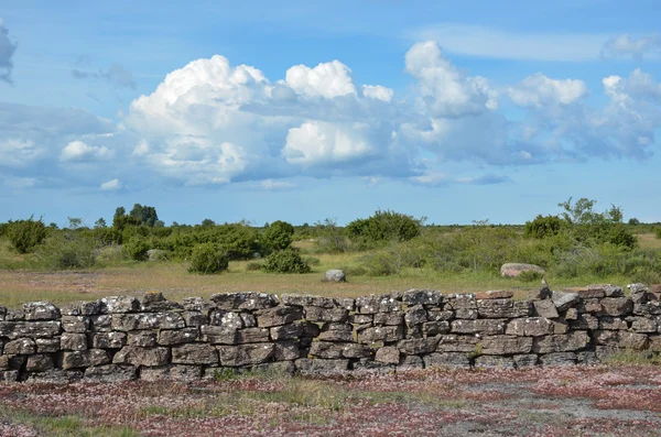 Vista estiva su un muro di pietra in un paesaggio pianeggiante — Foto Stock
