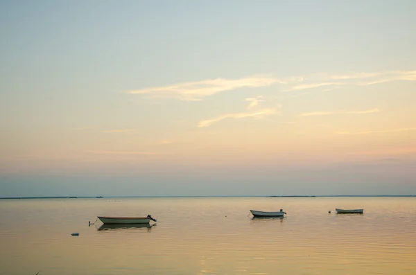 Anchored rowing boats at twilight — Stock Photo, Image