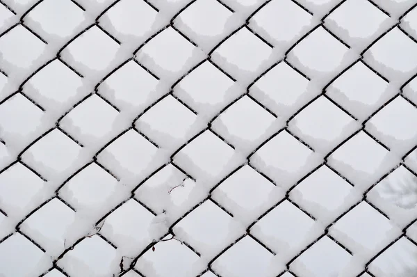 Frosty mesh — Stockfoto