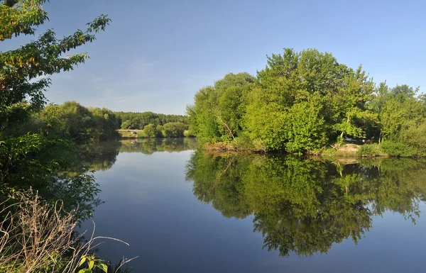 Trees by the river — Stock Photo, Image