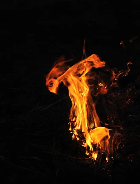 Fuego congelado — Foto de Stock