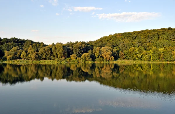 Refleksja drzew — Zdjęcie stockowe