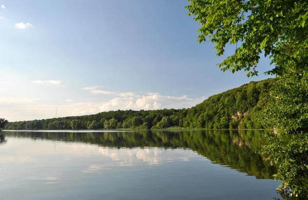 Nehirde yansıyan ağaçlar