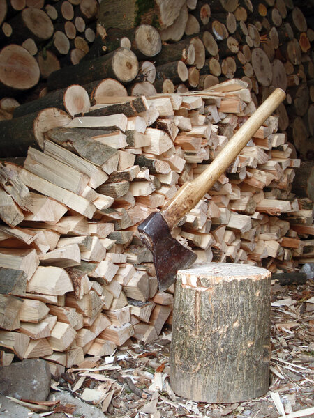 Firewood