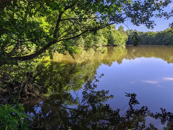 Blick Auf Den Teich Durch Die Äste Der Bäume Sommer — Stockfoto