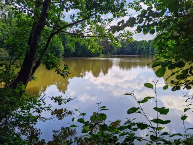durgun su göleti ağaç dalları arasından görünüyor