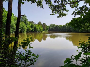 durgun su göleti ağaç dalları arasından görünüyor