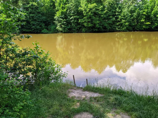 Wasser Aus Einem Ländlichen Teich Sommer — Stockfoto