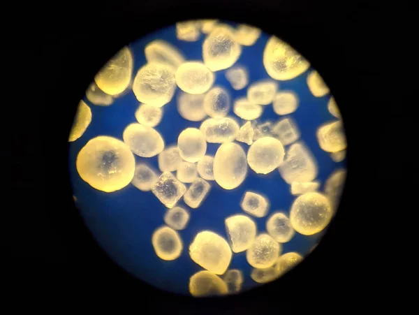 Salt Granules Microscope — Stockfoto