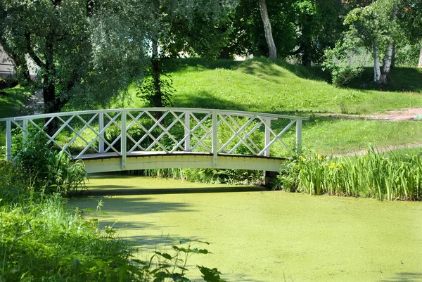 Bron över dammen. — Stockfoto