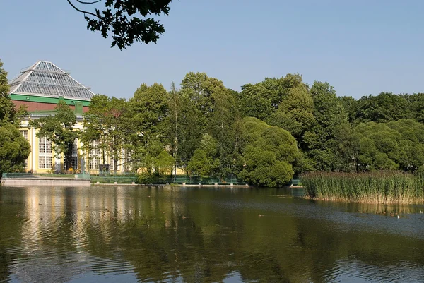 Stagno nel parco cittadino. — Foto Stock