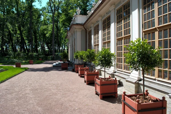 Pequeña casa en el jardín . — Foto de Stock