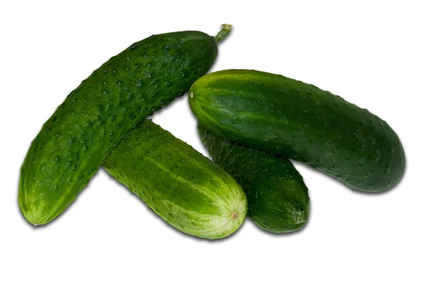 Cucumbers on white. — Stock Photo, Image