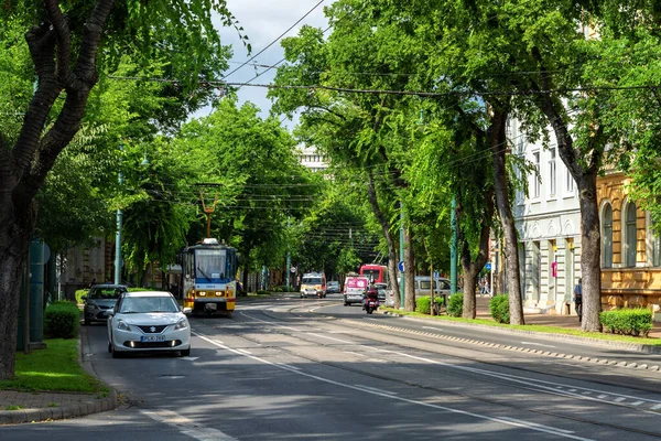 Szeged Ungarn Juni 2018 Reger Stadtverkehr Einem Sonnigen Tag Auf — Stockfoto